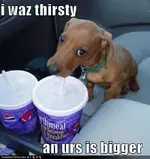 cute-puppy-pictures-but-yours-is-bigger.webp