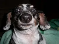 Heinnie.webp