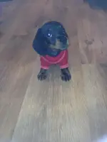 575436_468457003203260_1214556713_n.webp