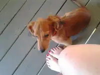 20120629_124543.webp