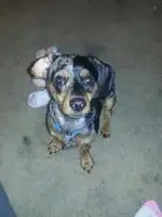 20130309_174011.webp