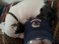 20130721_105346.webp