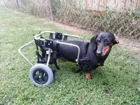 20130715_202030.webp
