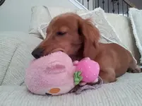 20130530_153611.webp