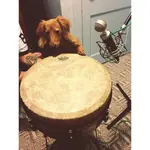 piper records.webp