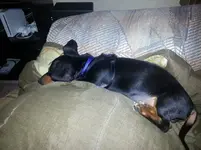 20130922_200134.webp