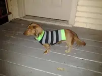 sweater.webp
