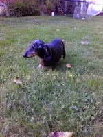 IMG_20131006_165652.webp