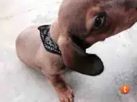 ugaquba9.webp