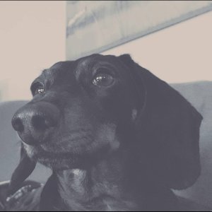 IMG_5137.jpeg