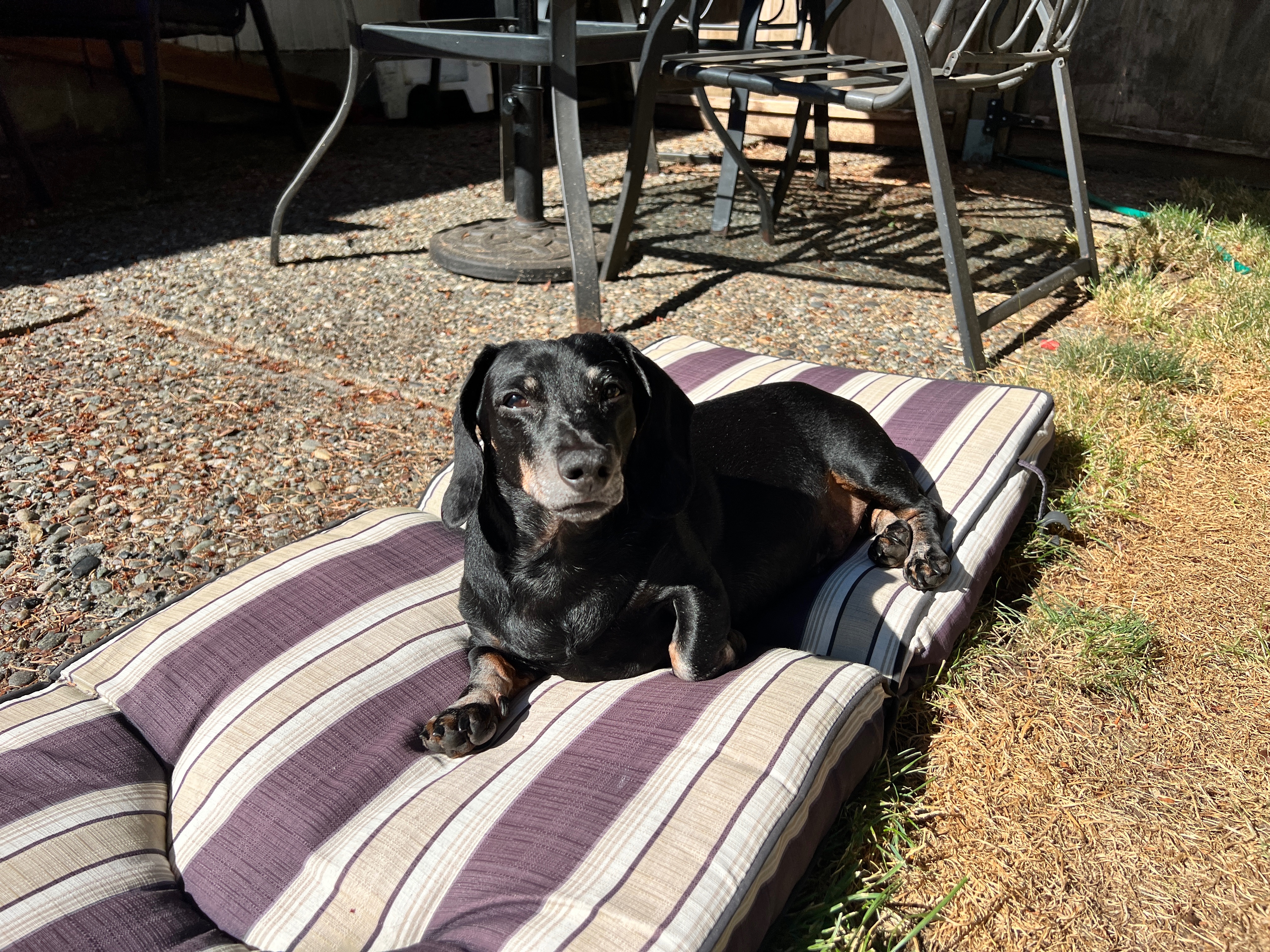 IMG_7792.jpeg