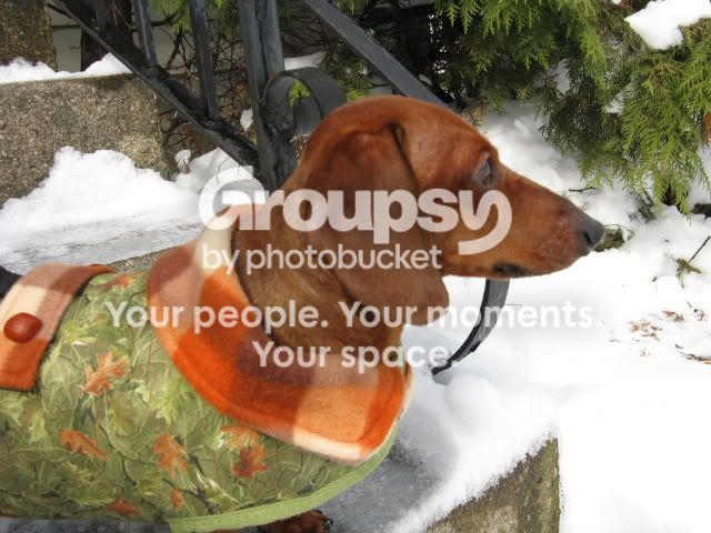 IMG_0926.jpg