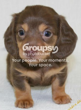 radar.jpg