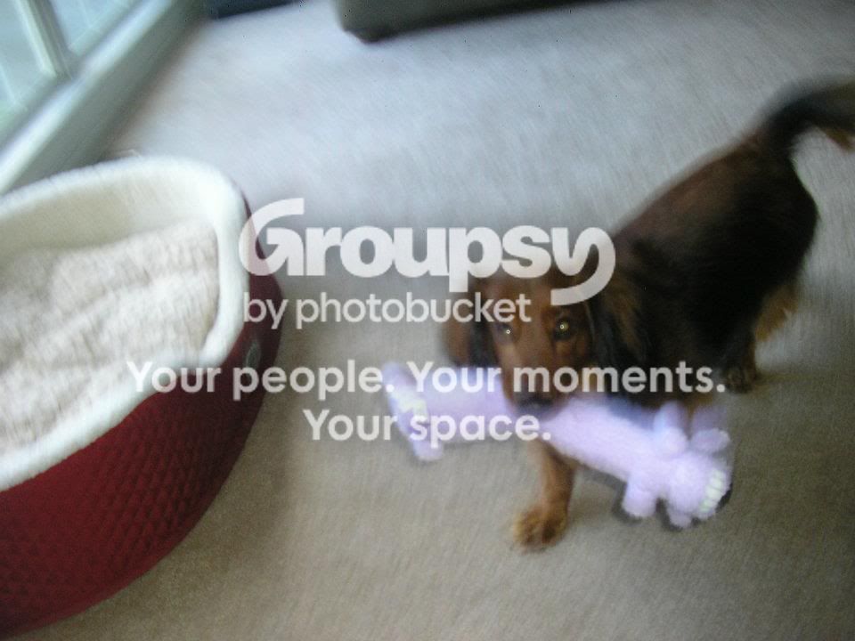408573_10150436640091966_1685195438_n.jpg