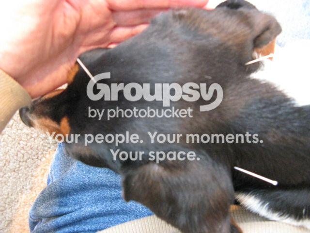 IMG_1500_zpsc6f9801f.jpg