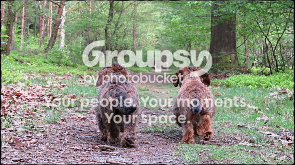 IMG_4655a.jpg