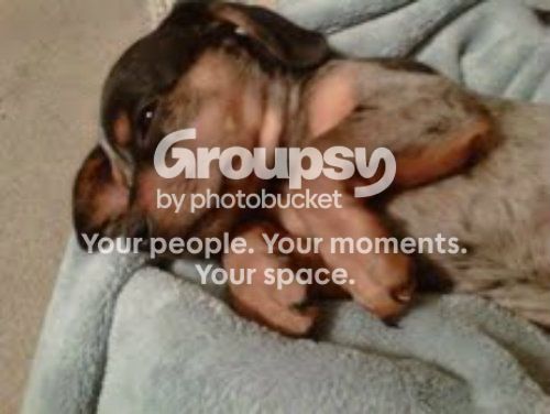 sleepie_zps89b90360.jpg