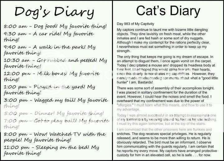catanddogdiary.jpg