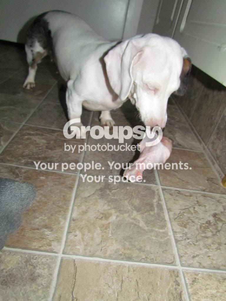 November2011015.jpg