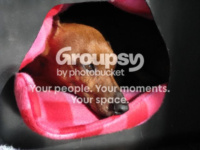 IMG_1651_zpsdb12c9d9.jpg
