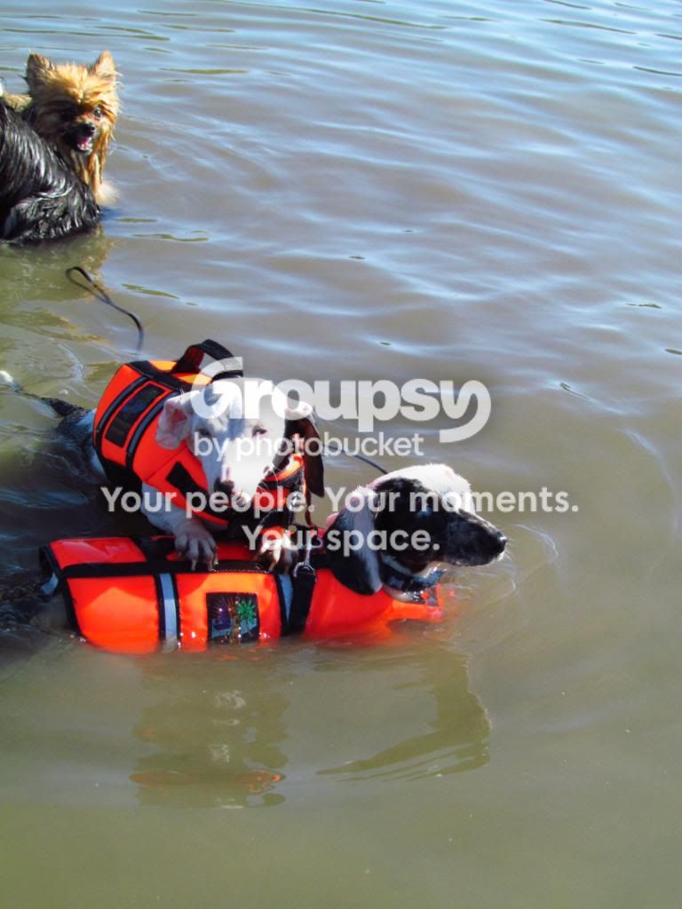 September2011064.jpg