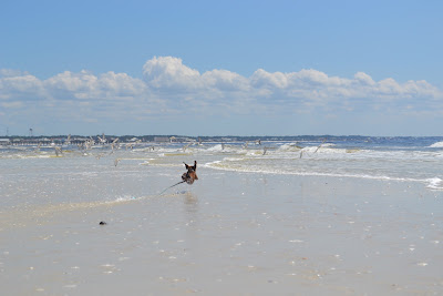 DSC_0185.JPG