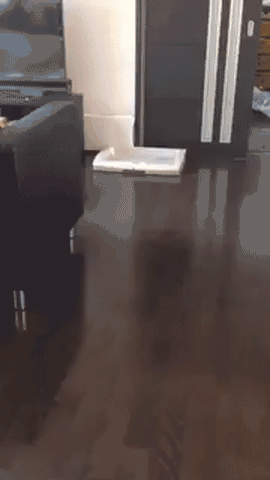 shirktember-6.gif