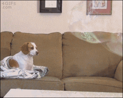 bye-july-18.gif