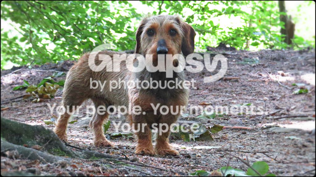 IMG_9930a.jpg