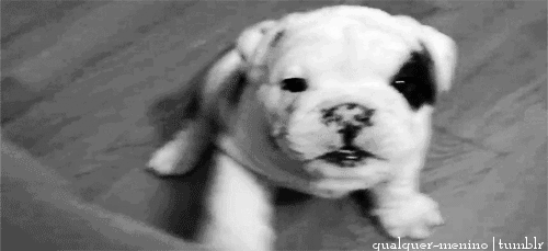 tumblr_mg334meMms1r3s1nco1_r1_500.gif