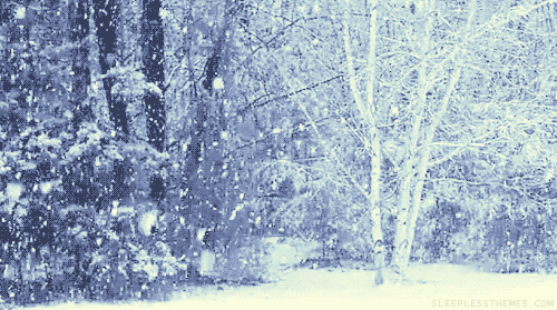 tumblr_mc4jufpZTn1rprp5ho1_500.gif