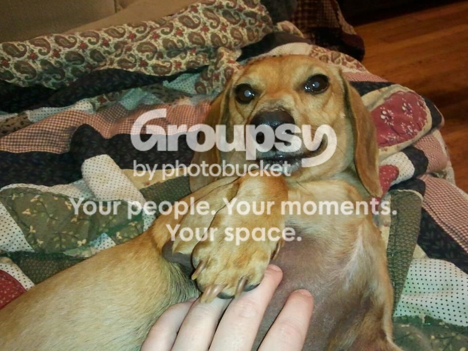 gibbs_zpsb21cbdde.jpg