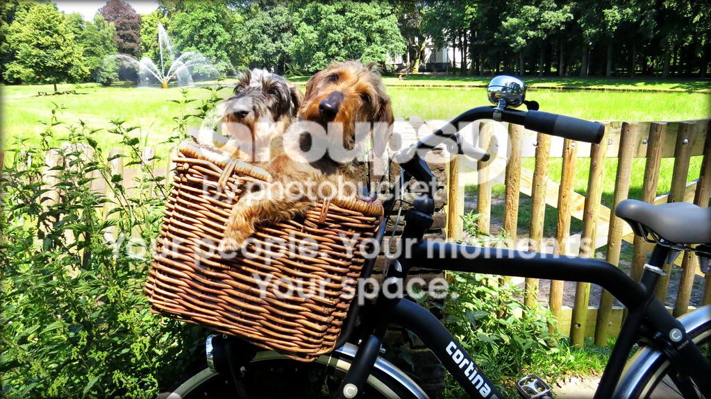 IMG_1544a.jpg