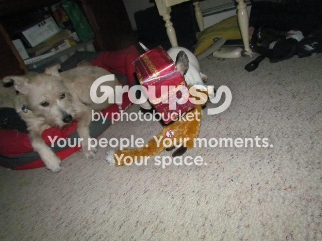 Christmas2011yes77.jpg