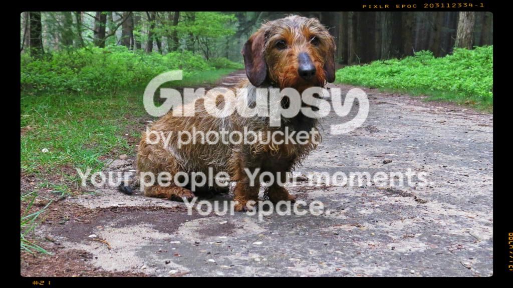 IMG_3510a.jpg