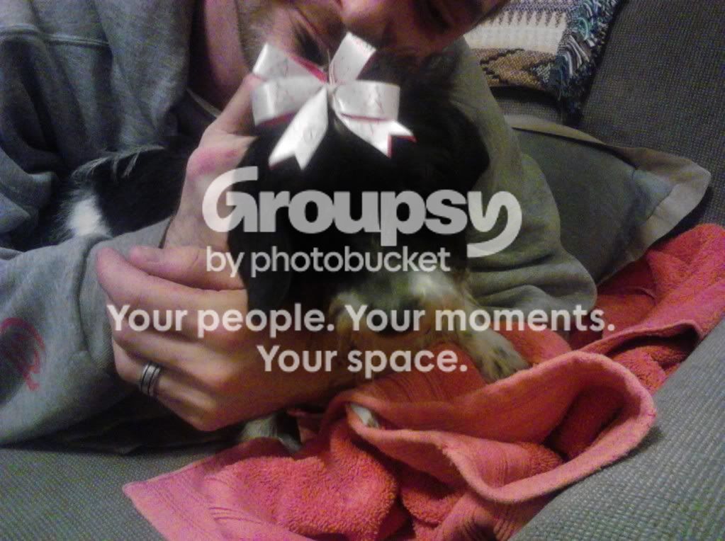 IMG_20121219_171520.jpg