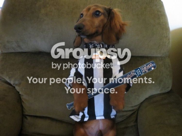 BuddyBaseball_zps18c88c2d.jpg