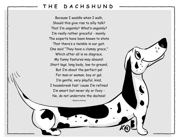 The_Dachshund_by_ko_hi_ga_ru.jpg